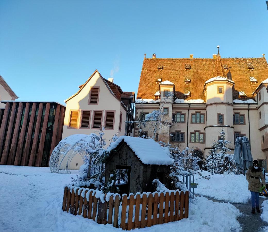 La Maison Bleue, A 20 Mn De Strasbourg, Sur La Route Des Vins, Jusqu'A 6 Personnes, Sélestat Dış mekan fotoğraf