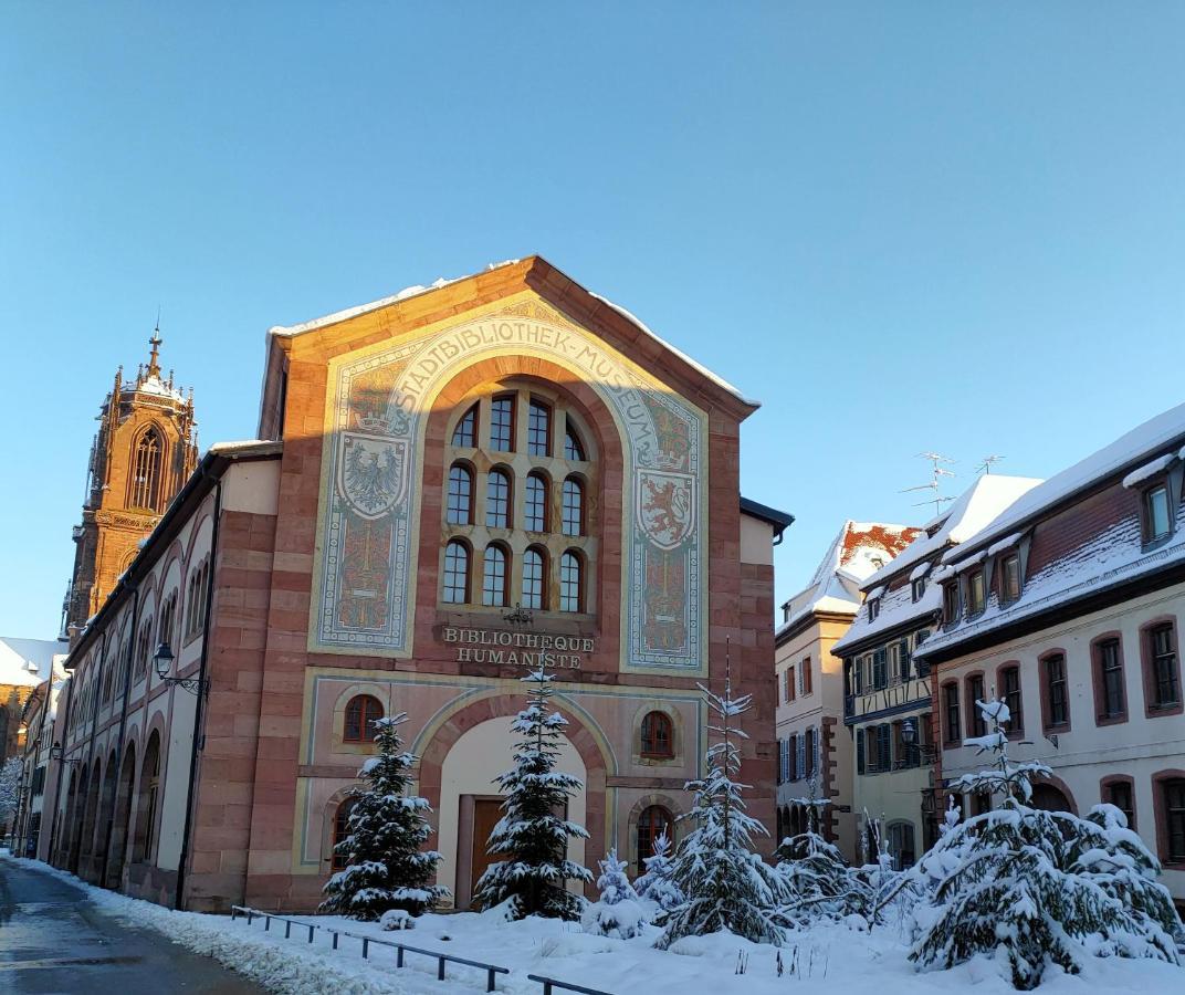La Maison Bleue, A 20 Mn De Strasbourg, Sur La Route Des Vins, Jusqu'A 6 Personnes, Sélestat Dış mekan fotoğraf