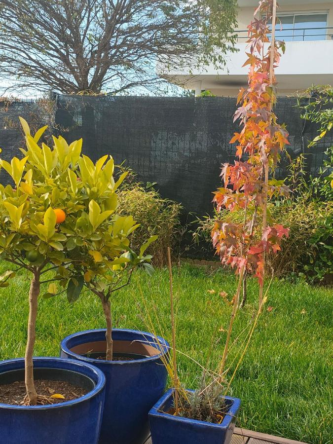 La Maison Bleue, A 20 Mn De Strasbourg, Sur La Route Des Vins, Jusqu'A 6 Personnes, Sélestat Dış mekan fotoğraf